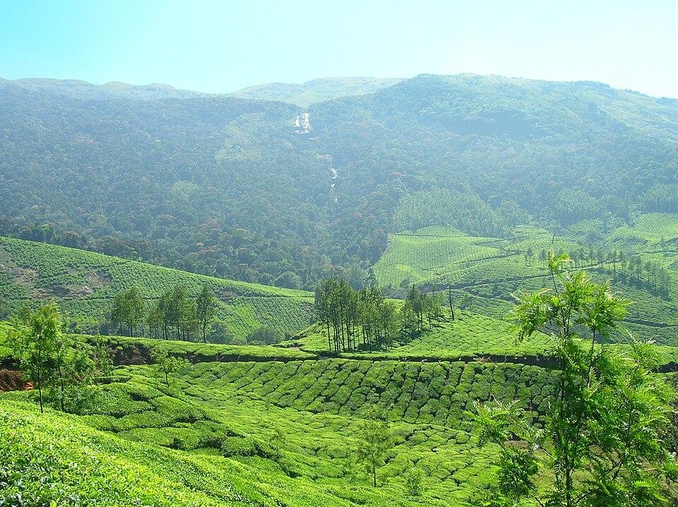 Kerala hills and backwaters circuit